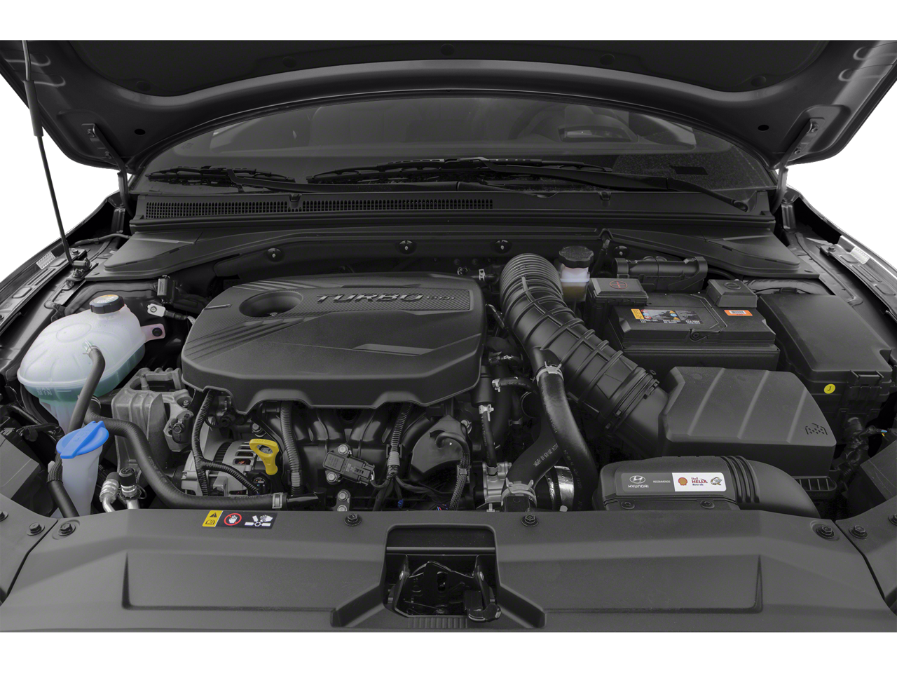 2019 Hyundai Veloster Turbo