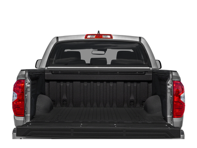 2020 Toyota Tundra 4WD Platinum
