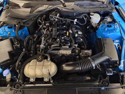 2023 Ford Mustang EcoBoost