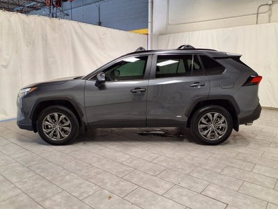 2023 Toyota RAV4 XLE Premium