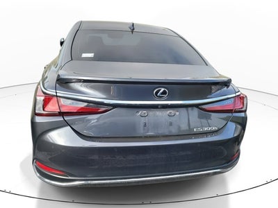 2024 Lexus ES 300h ES 300h