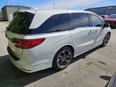 2024 Honda Odyssey Elite