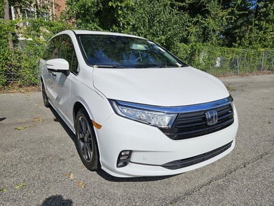 2024 Honda Odyssey Elite