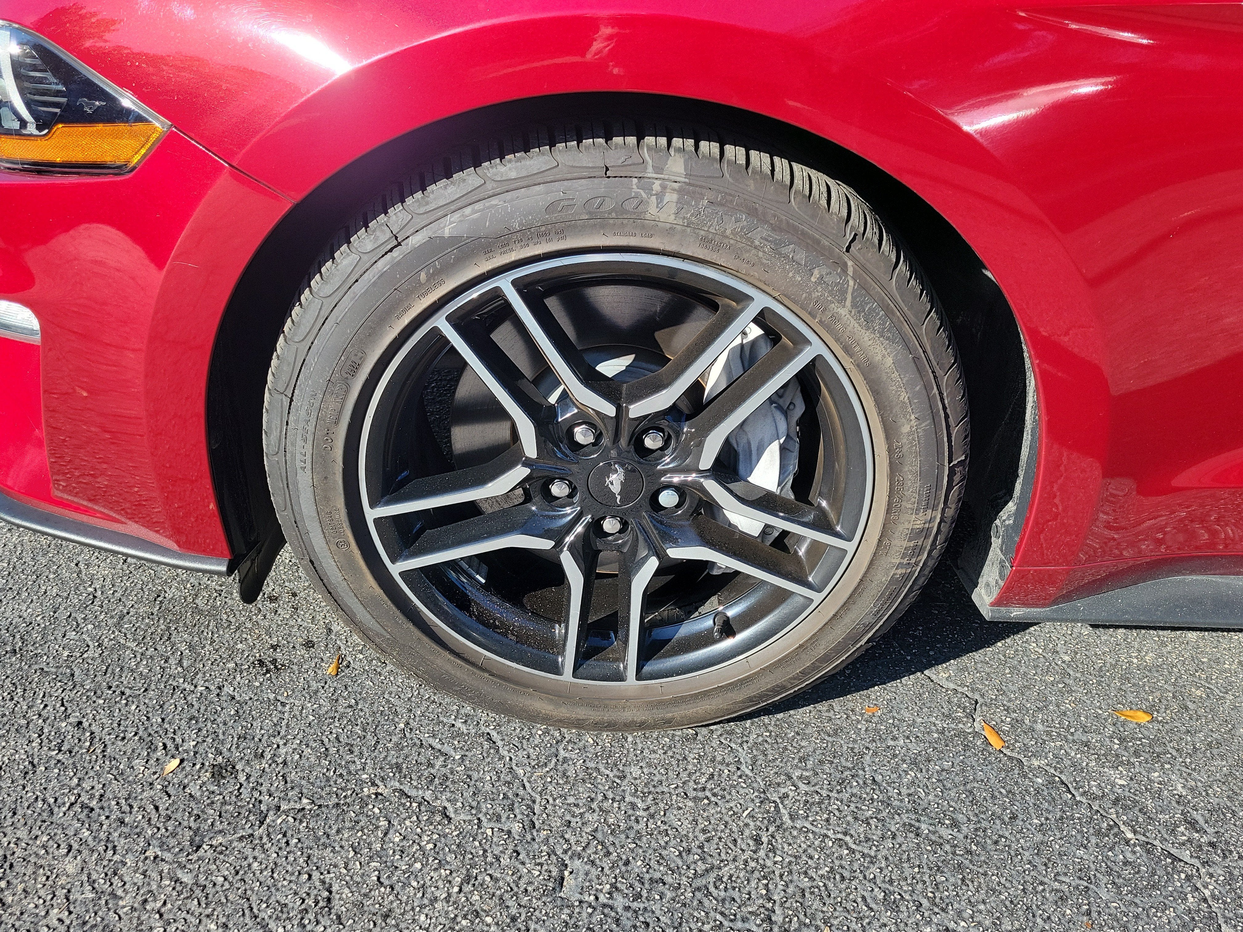 2019 Ford Mustang GT