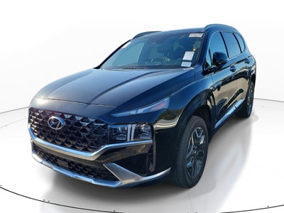 2021 Hyundai Santa Fe Calligraphy