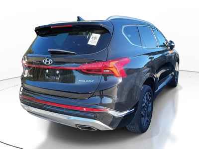 2021 Hyundai Santa Fe Calligraphy