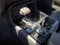 2025 Toyota Tundra 4WD TRD Pro Hybrid