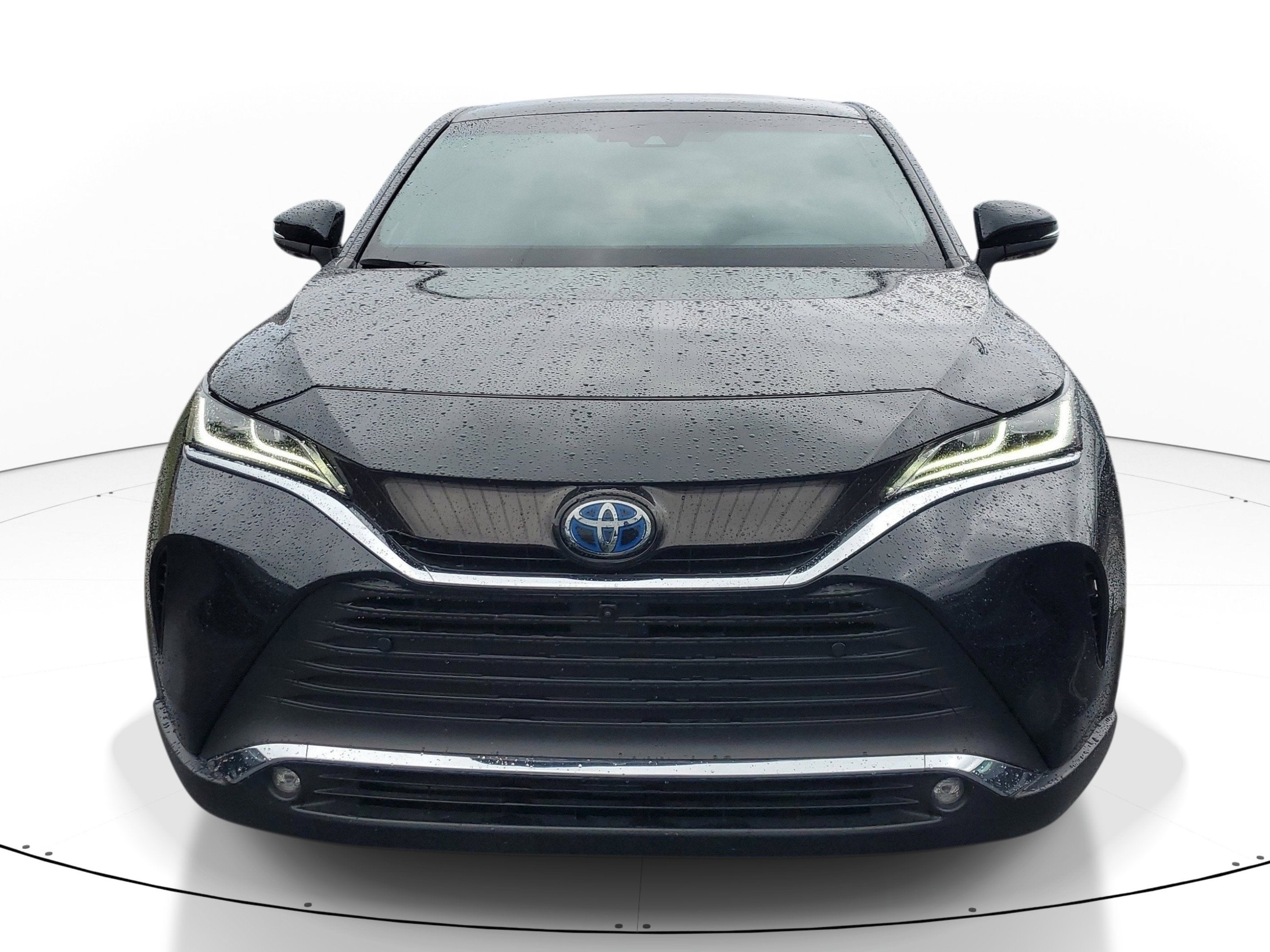 2024 Toyota Venza Limited